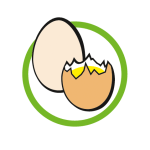 Eier und Eiererzeugnisse