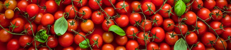Tomatenerzeugnisse