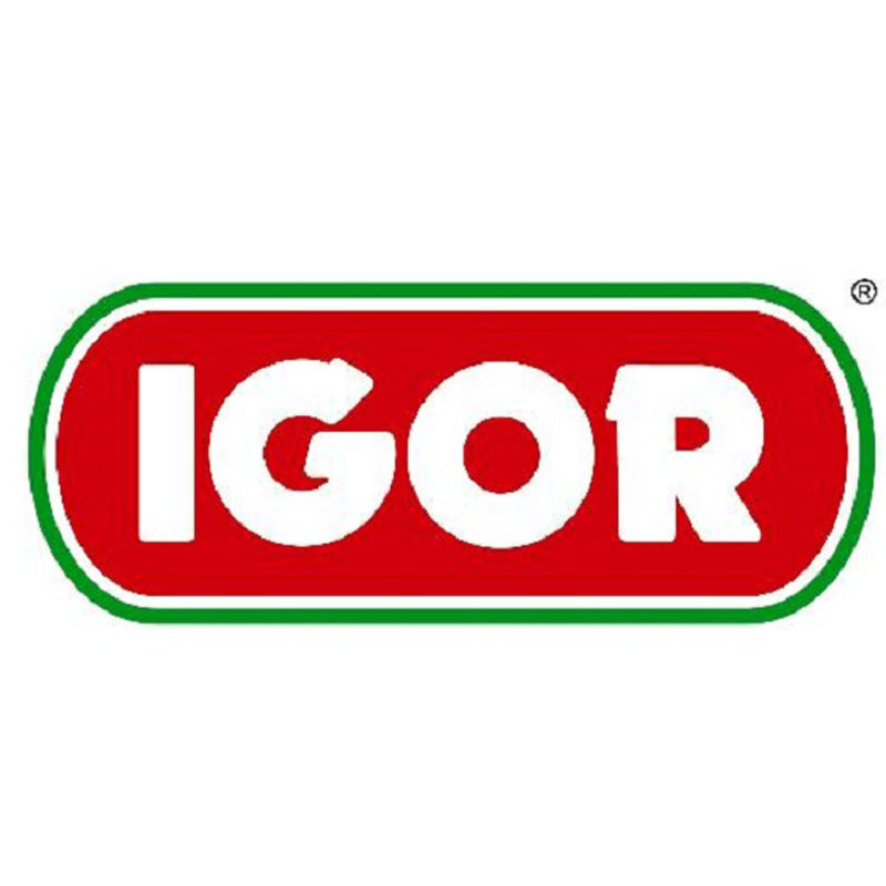 IGOR